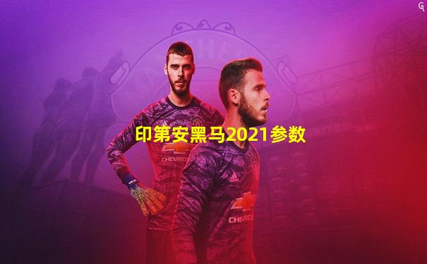 印第安黑马2021参数