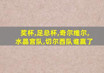 奖杯,足总杯,奇尔维尔,水晶宫队,切尔西队谁赢了