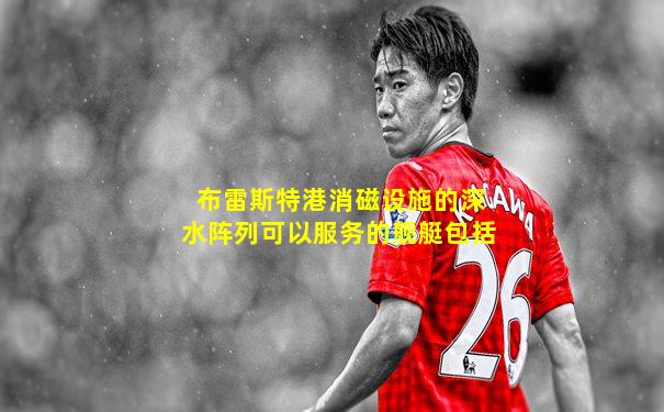 布雷斯特港消磁设施的深水阵列可以服务的舰艇包括