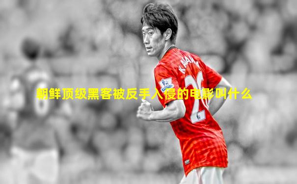 朝鲜顶级黑客被反手入侵的电影叫什么