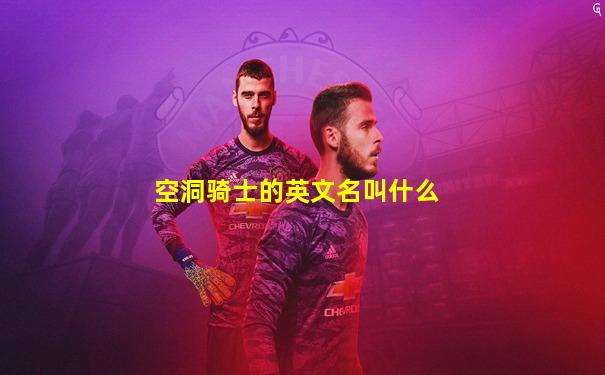 空洞骑士的英文名叫什么