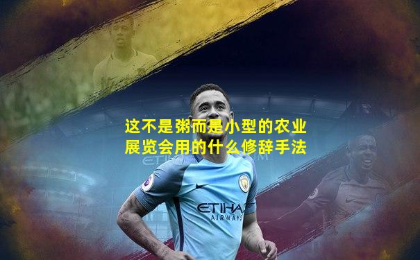 这不是粥而是小型的农业展览会用的什么修辞手法