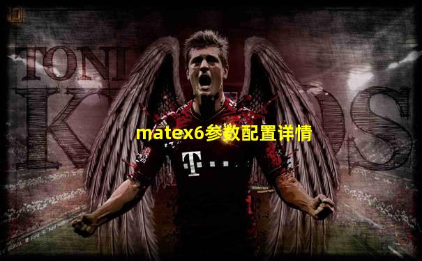 matex6参数配置详情