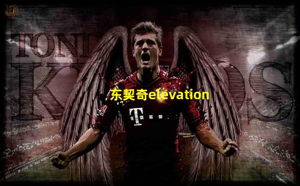 东契奇elevation