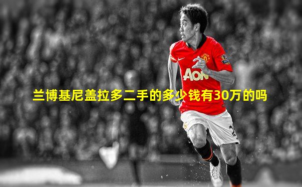 兰博基尼盖拉多二手的多少钱有30万的吗