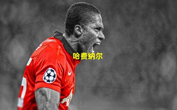 哈费纳尔
