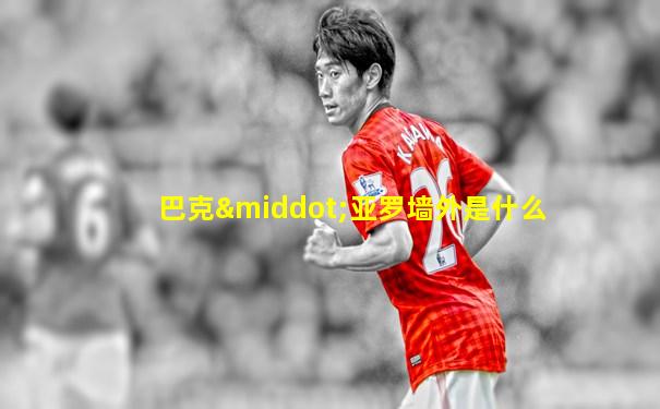 巴克·亚罗墙外是什么