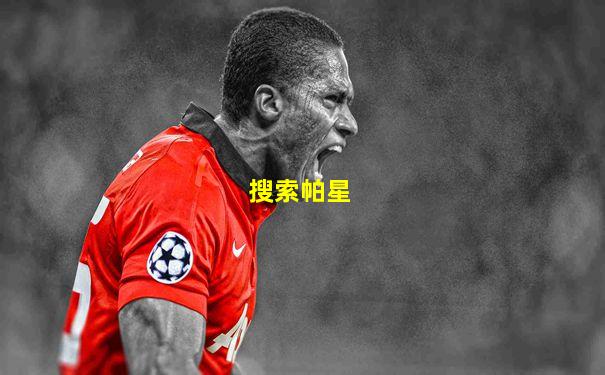 搜索帕星