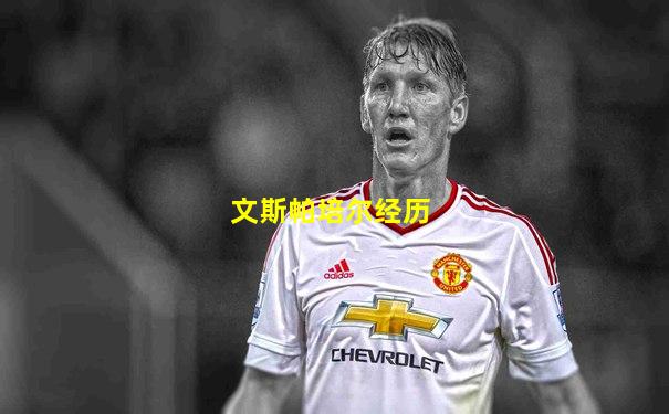 文斯帕培尔经历
