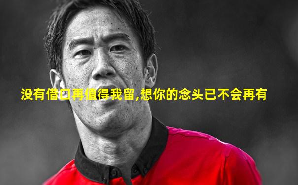 没有借口再值得我留,想你的念头已不会再有
